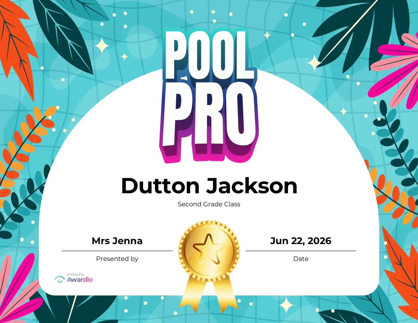 Pool Pro certificate to reward a student's effort